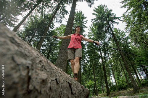 Frau balanciert mit Ihren Wanderstöcken auf gefälltem Baumstamm im Wald