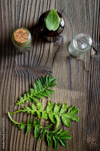 Fototapeta Naklejka Na Ścianę i Meble -  Alternative medicine. Store up medicinal herbs. Herbs in glass on wooden table background