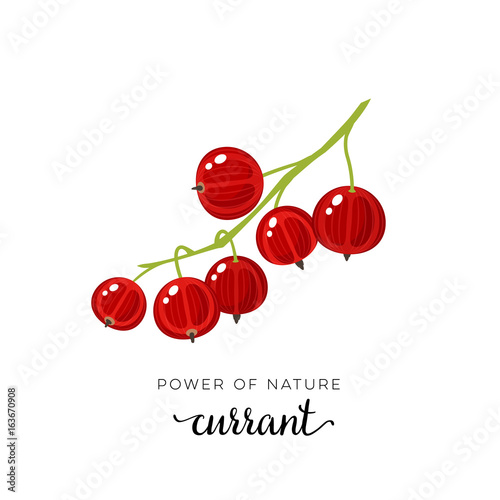 Red currant berry flat icon with inscription colorful vector illustration of eco food isolated on white.