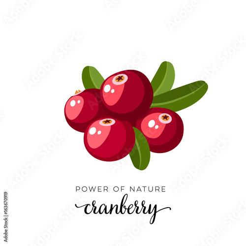 Red cranberry berry flat icon with inscription colorful vector illustration of eco food isolated on white.