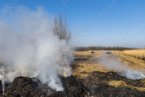 Cane Burning Giethoorn