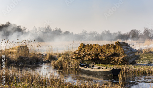 Cane with Boat Giethoorn