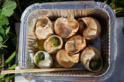 food snails photo