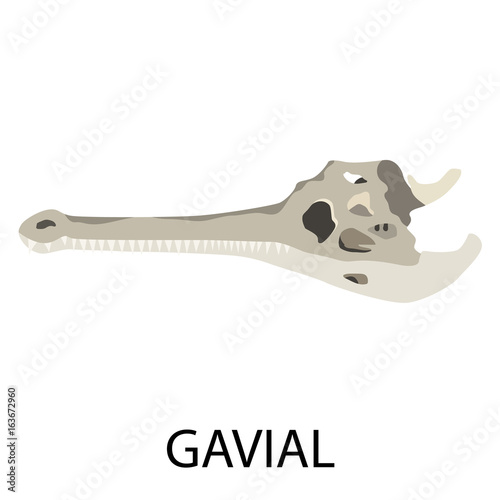 Skulls of animals flat icon set