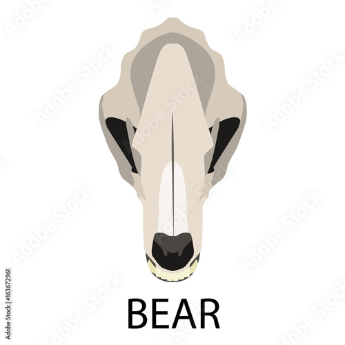 Skulls of animals flat icon set