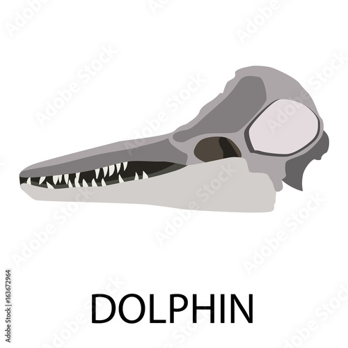 Skulls of animals flat icon set