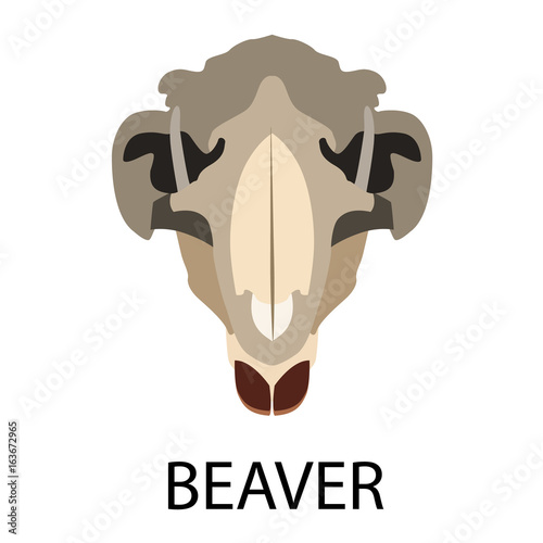 Skulls of animals flat icon set