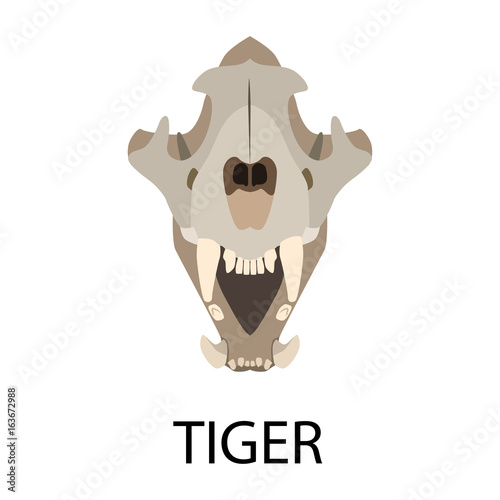 Skulls of animals flat icon set