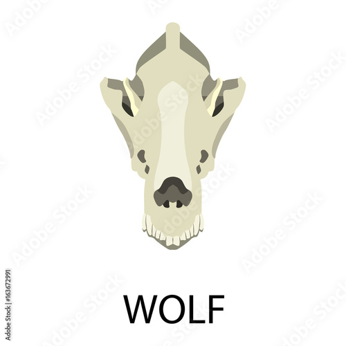 Skulls of animals flat icon set