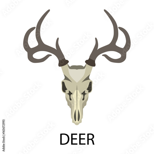 Skulls of animals flat icon set