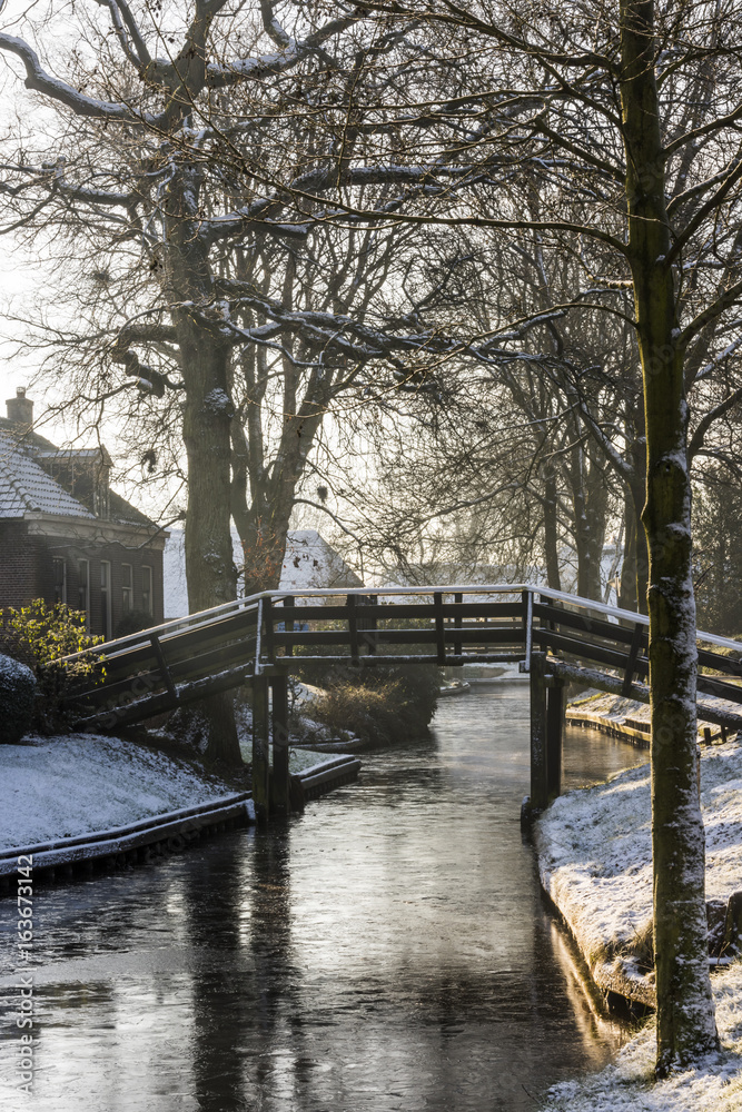 Winter with Trees in Giethoorn