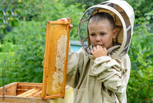 Canvas-taulu The boy beekeeper saves fresh honey from a honey cell on an apiary