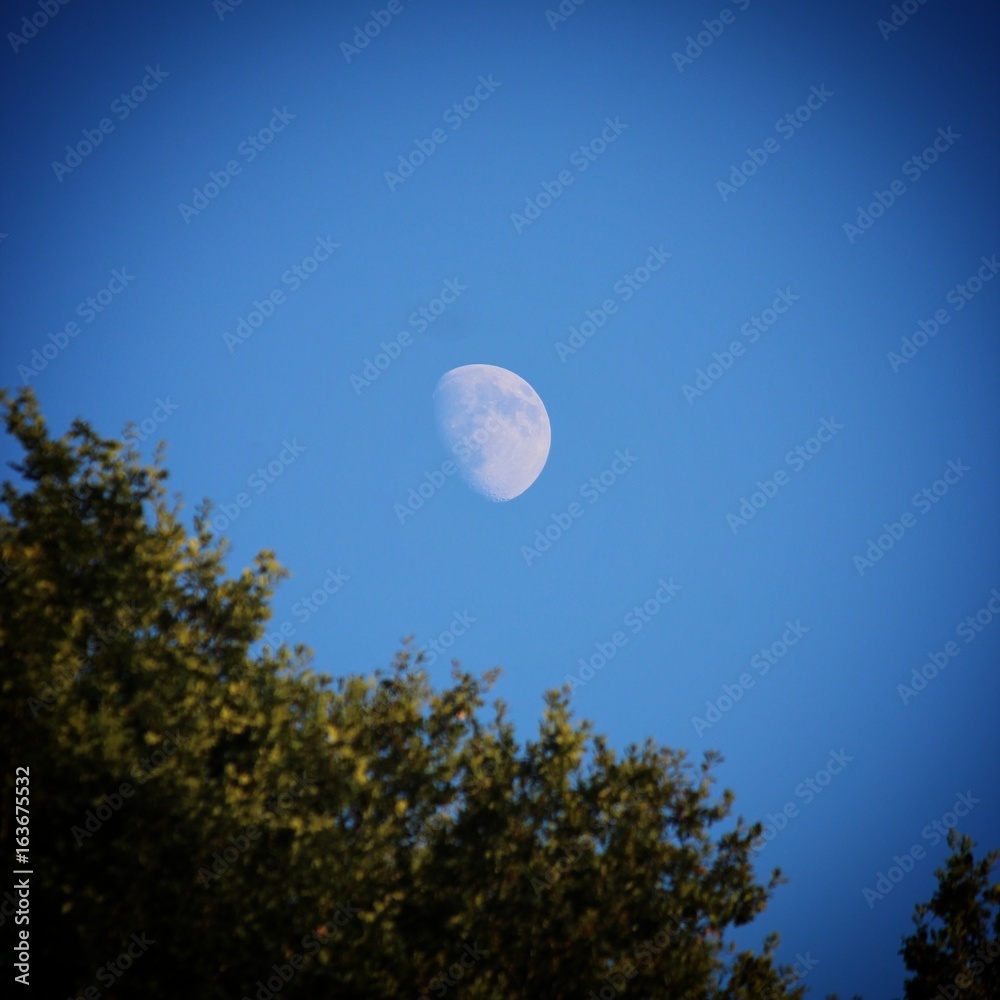 Talking to the moon Talking to the moon