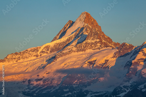 fin de journée devant le sommet de Schreckhorn © rochagneux