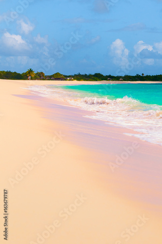 Pink Sands of Barbuda photo