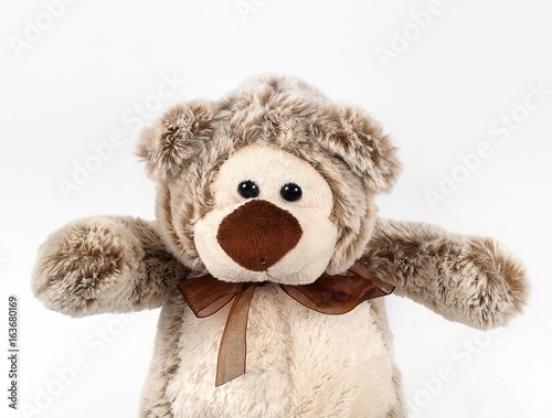 Children's toy: teddy bear