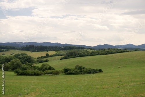 Green meadow during sunny and cloudy afternoon. Slovakia