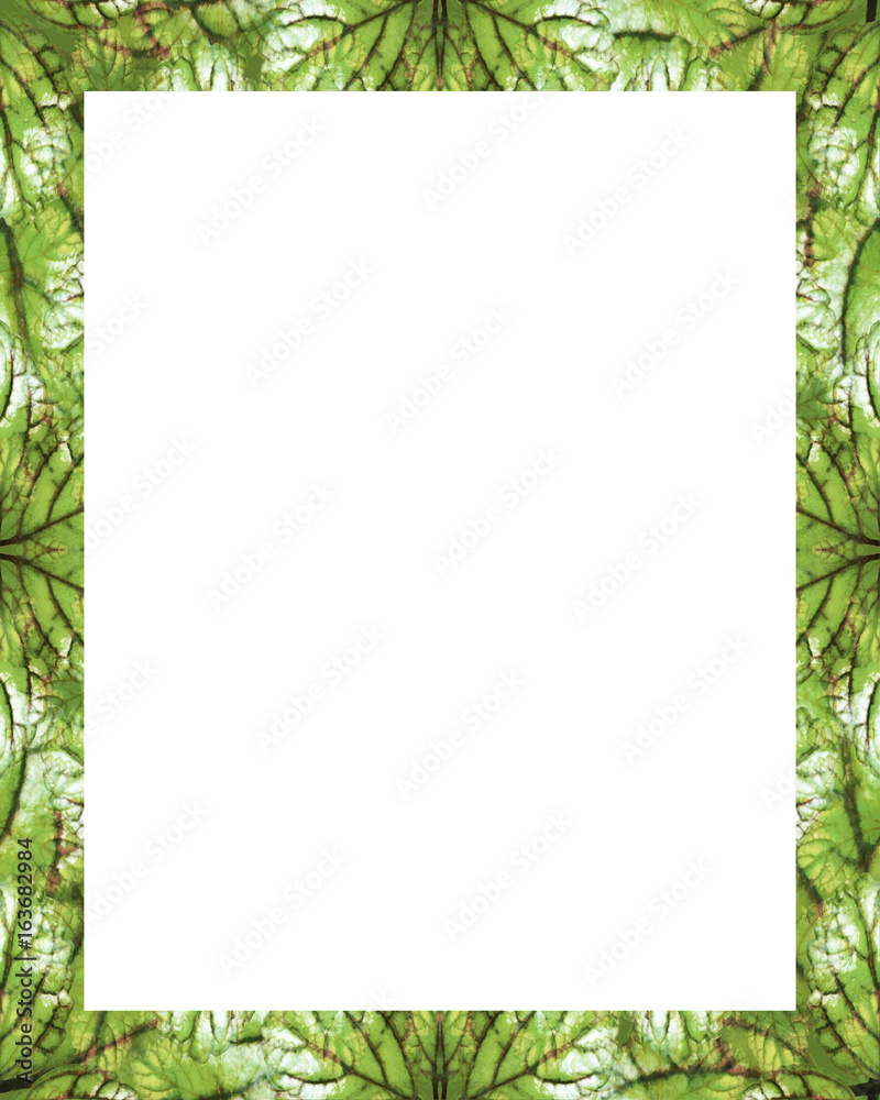 White Frame with Decorated Borders