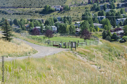 Scenic Dog Park in Avon, Colorado photo