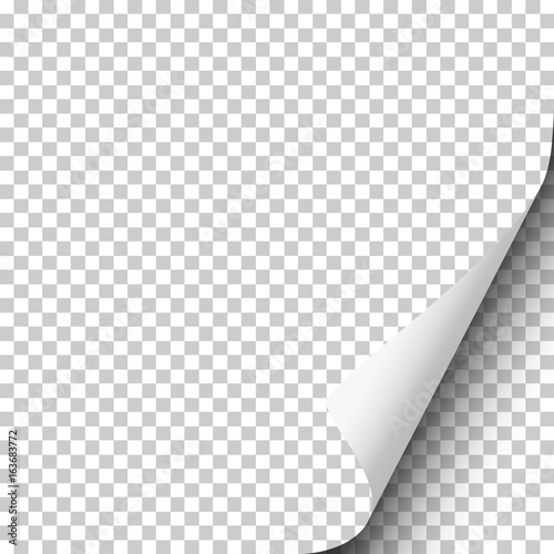 Page curl with shadow on blank transparent sheet of paper. Element for ad. Vector illustration.
