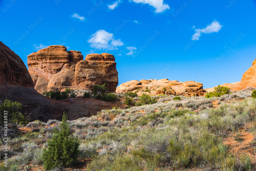 Fototapeta premium Arches National Park Utah Rock Formations 