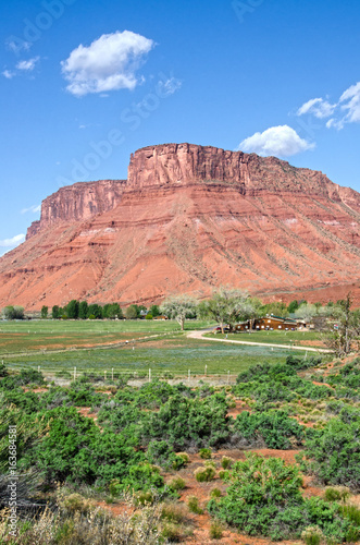 Fertile Farm Land Along Colorado River in Castle Valley photo