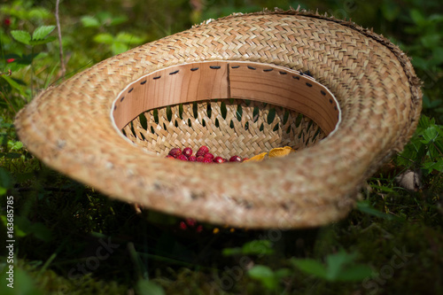 straw summer hat with wild strawberry and yellow mushroom on it 