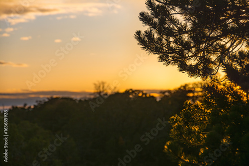 Sun Set Silhouette Utah Tree