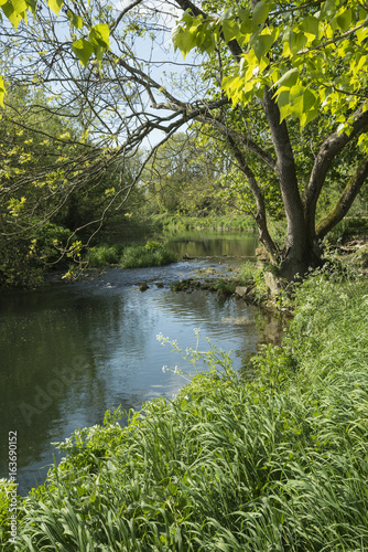 Beautiful vibrant English countryside river landscape with shallow depth of field