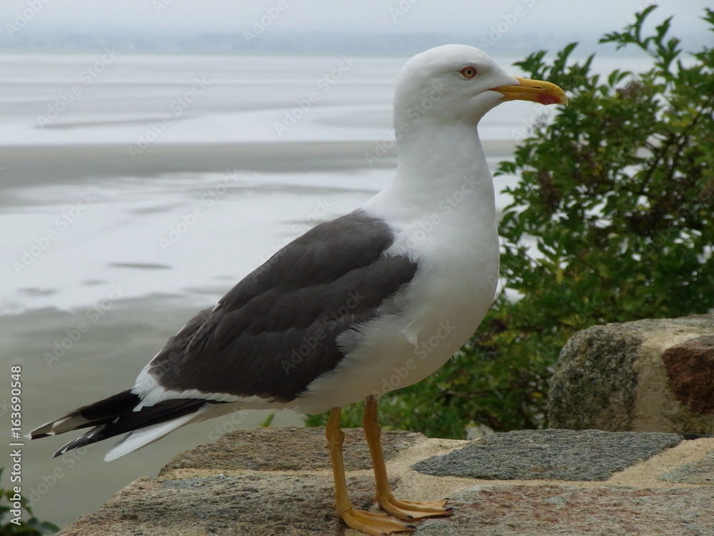 Fototapeta premium Exif_JPEG_PICTURE