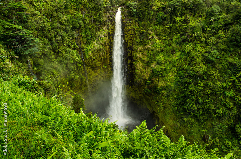 Fototapeta premium Waterfall in Hawaii 