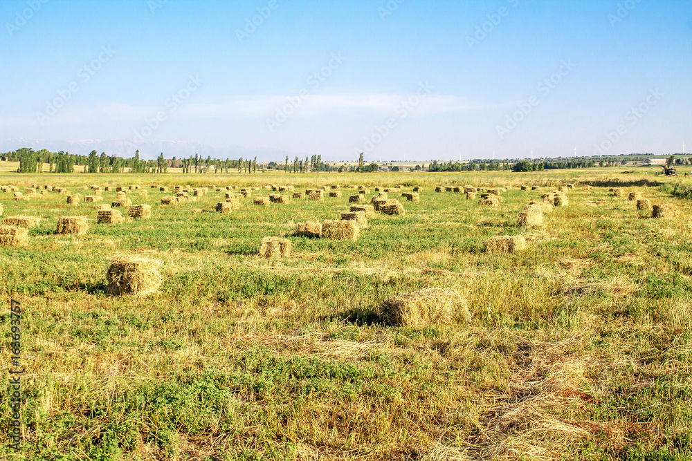 Bales of hay on the field - Landscape Bales of hay on the field - Landscape
