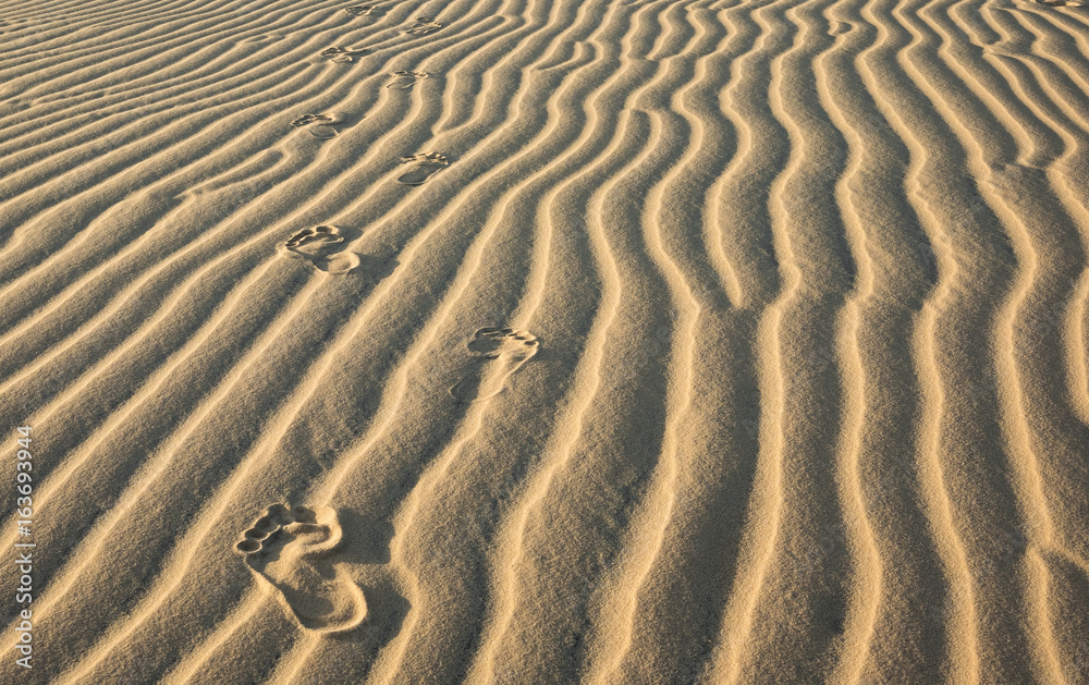 in the desert on the barkhan. Vietnam near Nha Trang in the desert on the barkhan. Vietnam near Nha Trang