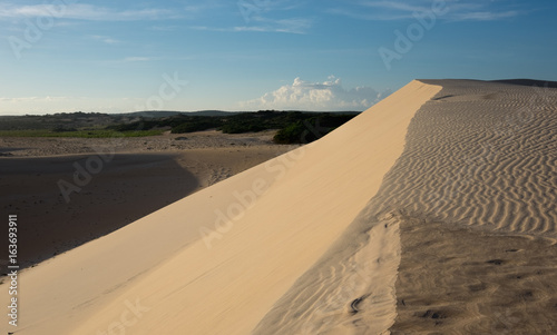 in the desert on the barkhan. Vietnam near Nha Trang