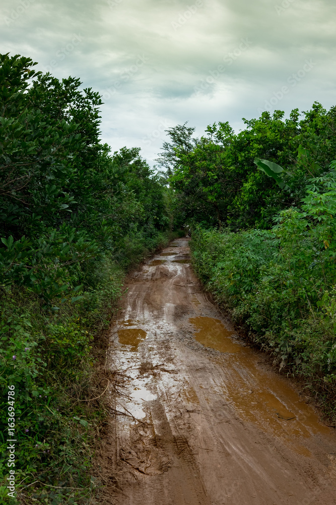 Mud, primer, puddle, clay, jungle