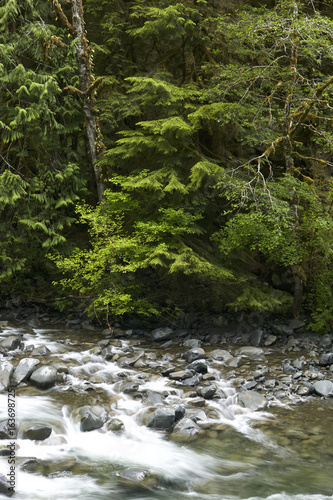 Sol Duc river, Olympic NP, WA