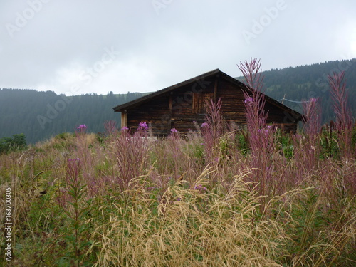 vers mont joly photo