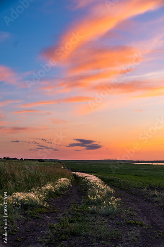 Sunset over a Wheat Field in July