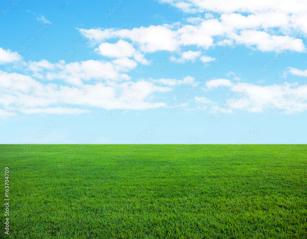 Background of cloudy sky and grass