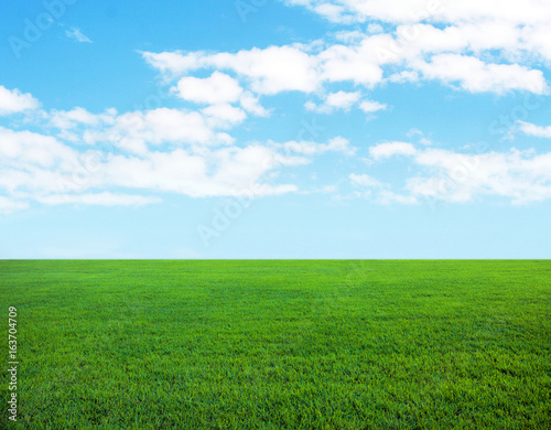 Fototapeta Naklejka Na Ścianę i Meble -  Background of cloudy sky and grass