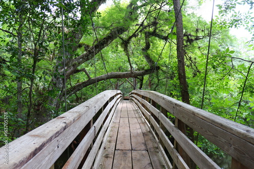 Obraz drewniany most z linami miedzy drzewami