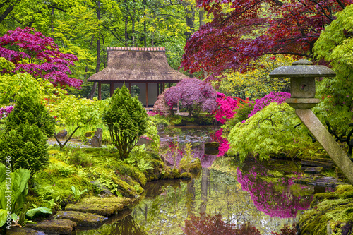 Travel Concepts. Amazing Picturesque Scenery of Japanese Garden with Asian Zen Sculptures  on Background in the Hague (Den Haag) in the Netherlands Straight After the Rain. photo