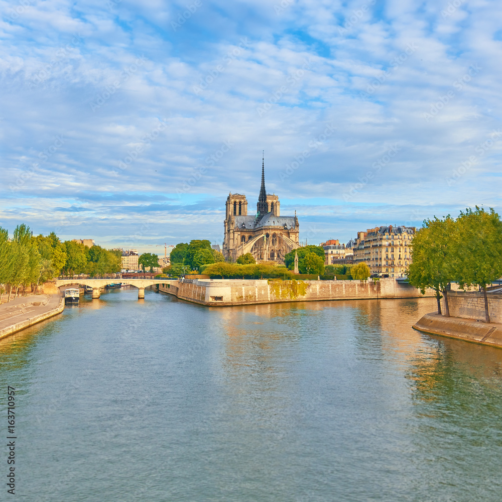 Obraz premium Notre-Dame cathedral in Paris, panoramic image