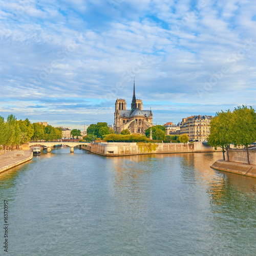 Notre-Dame cathedral in Paris, panoramic image