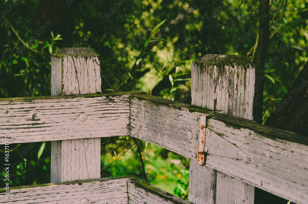 Rustic white fence with lush greenery in the background Rustic white fence with lush greenery in the background