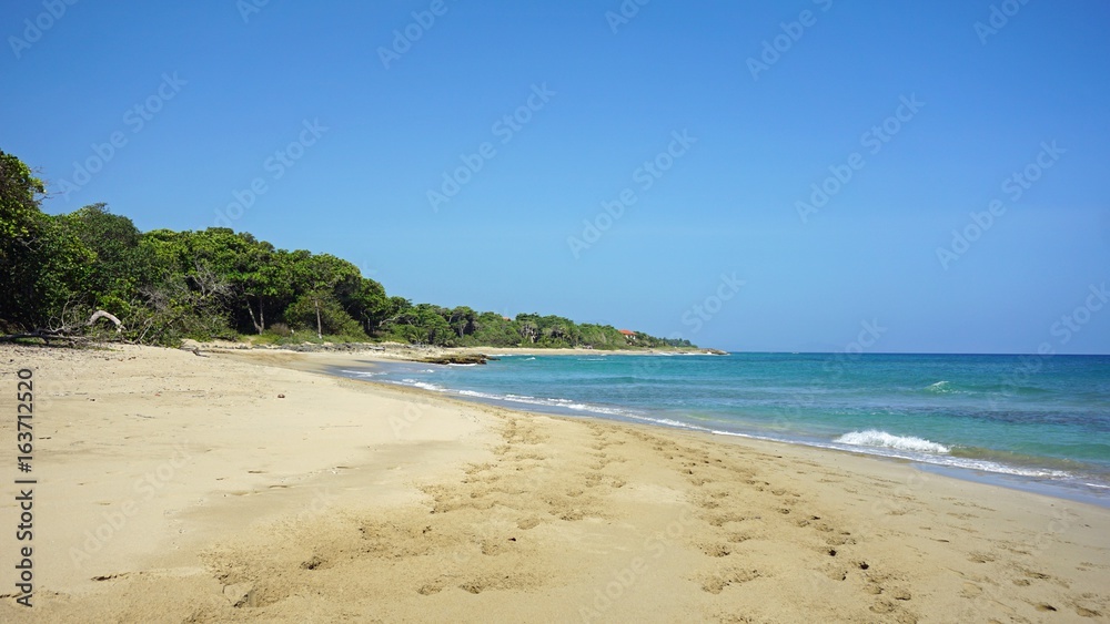 tropical hideaway beach