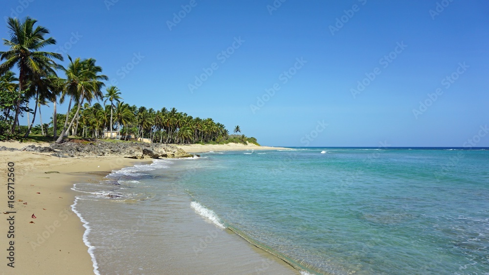 tropical hideaway beach