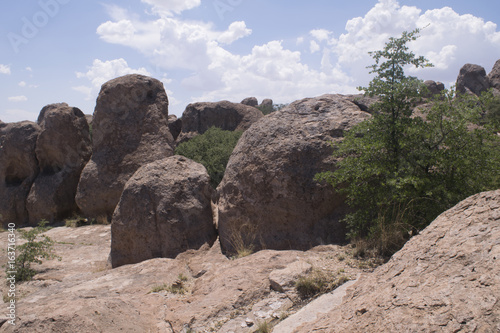 City of Rocks State Park in New Mexico