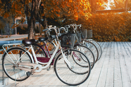 Classic bicycles parked on sidewalk in summer.