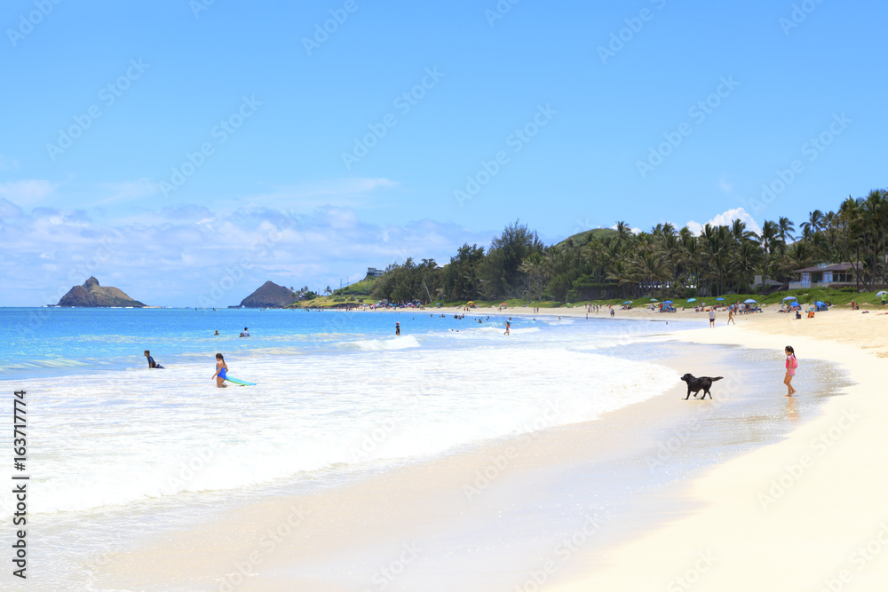 Fototapeta premium カイルアビーチ